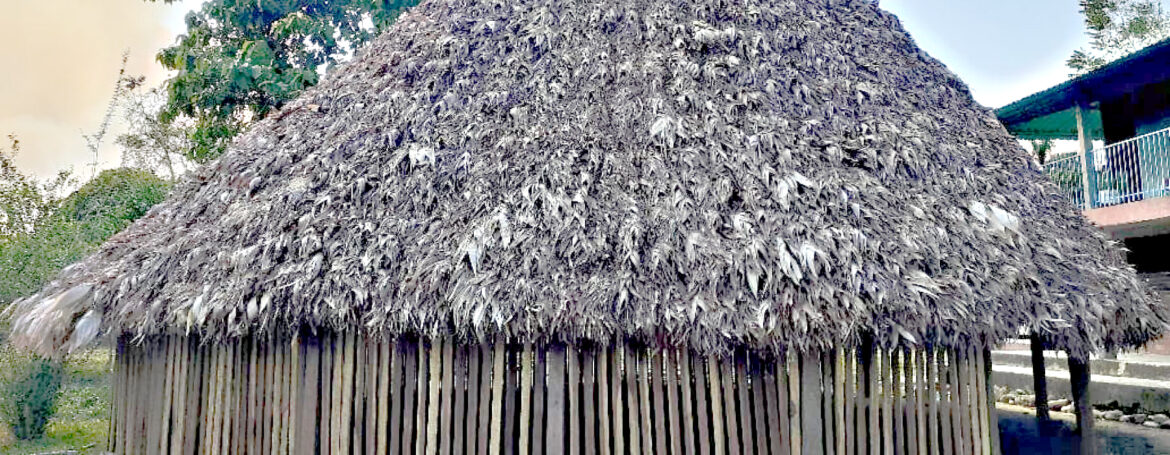 Pueblo Barí levanta casa ancestral