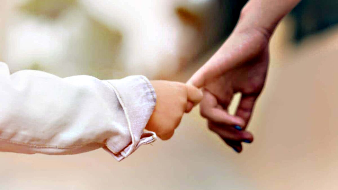 proceso de adopción