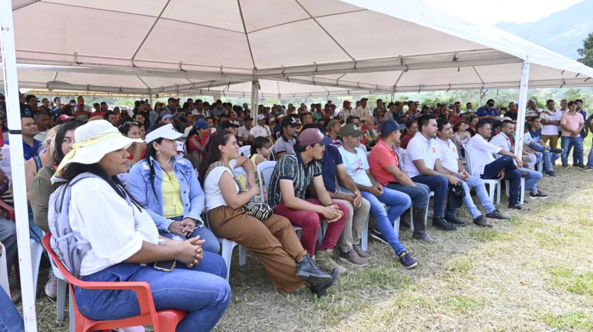 Producto del acuerdo paz