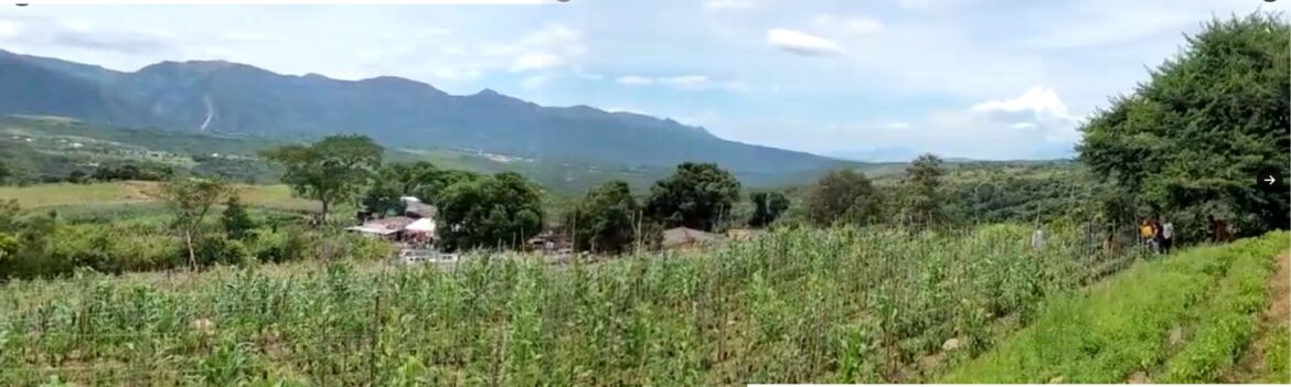 Entrega de 224 hectareas de las predios Alquitrana y el Palmar